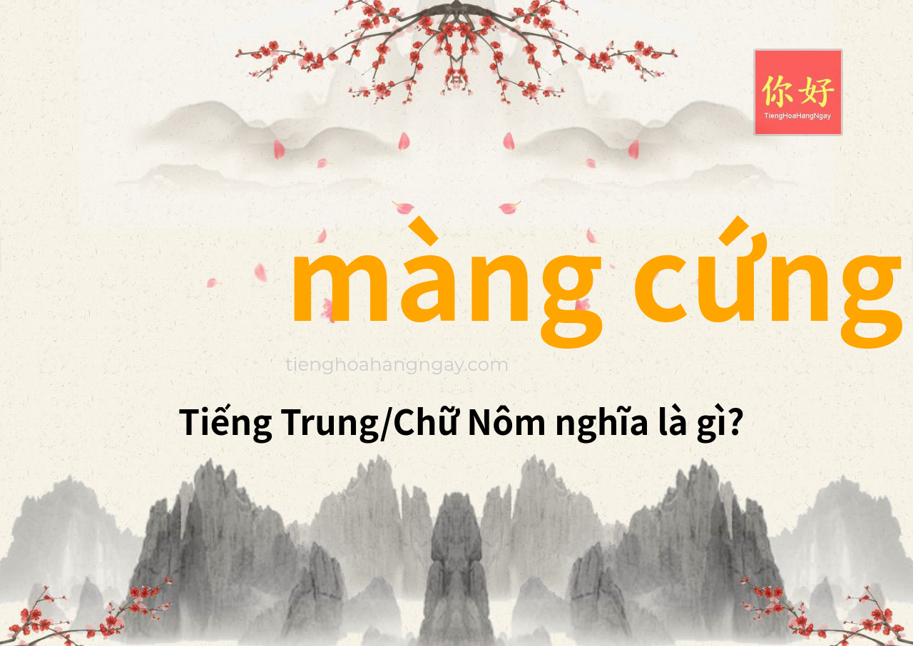 màng cứng tiếng Trung là gì?